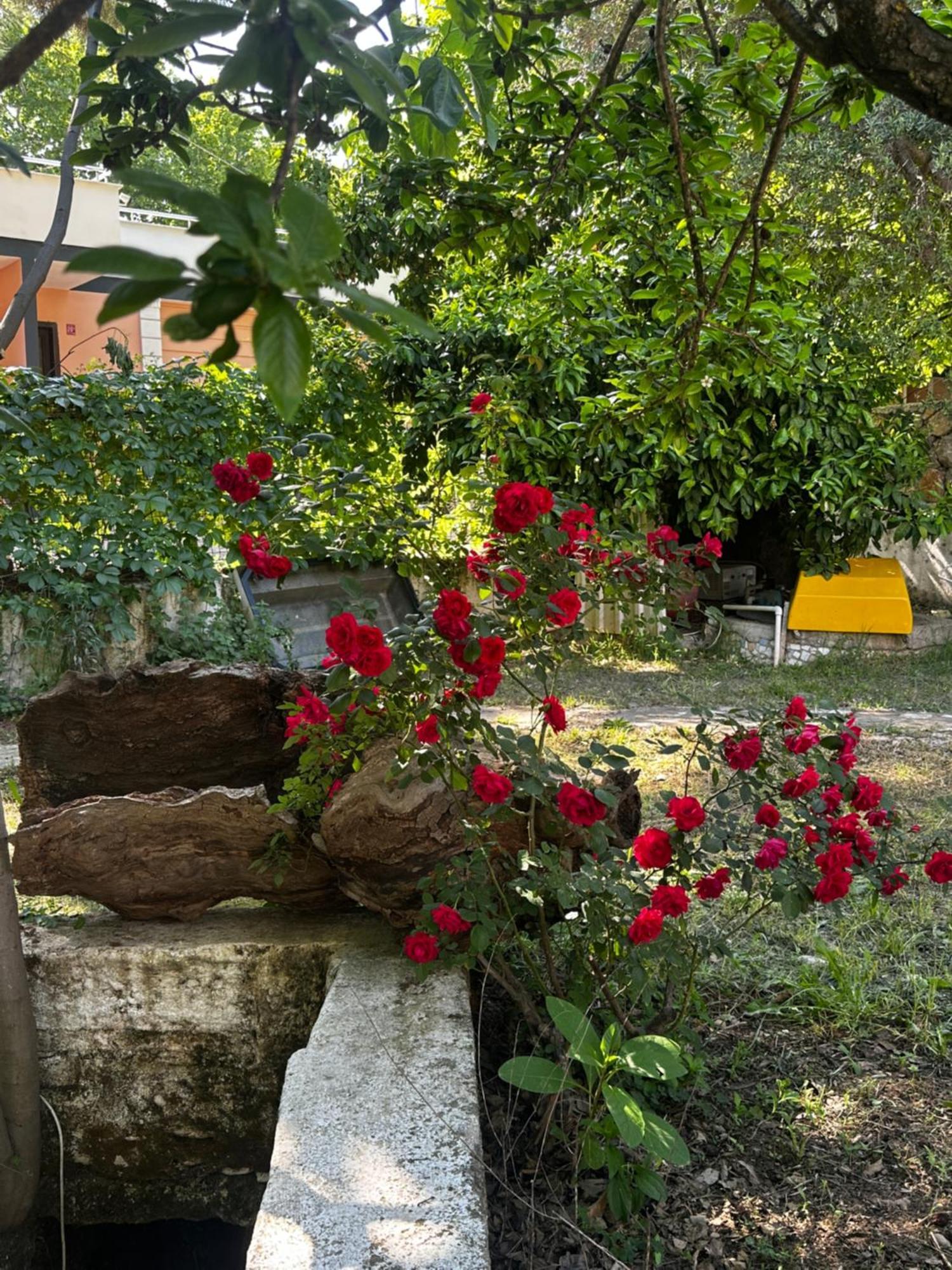Sakliderebutikotel Edremit  Exteriör bild